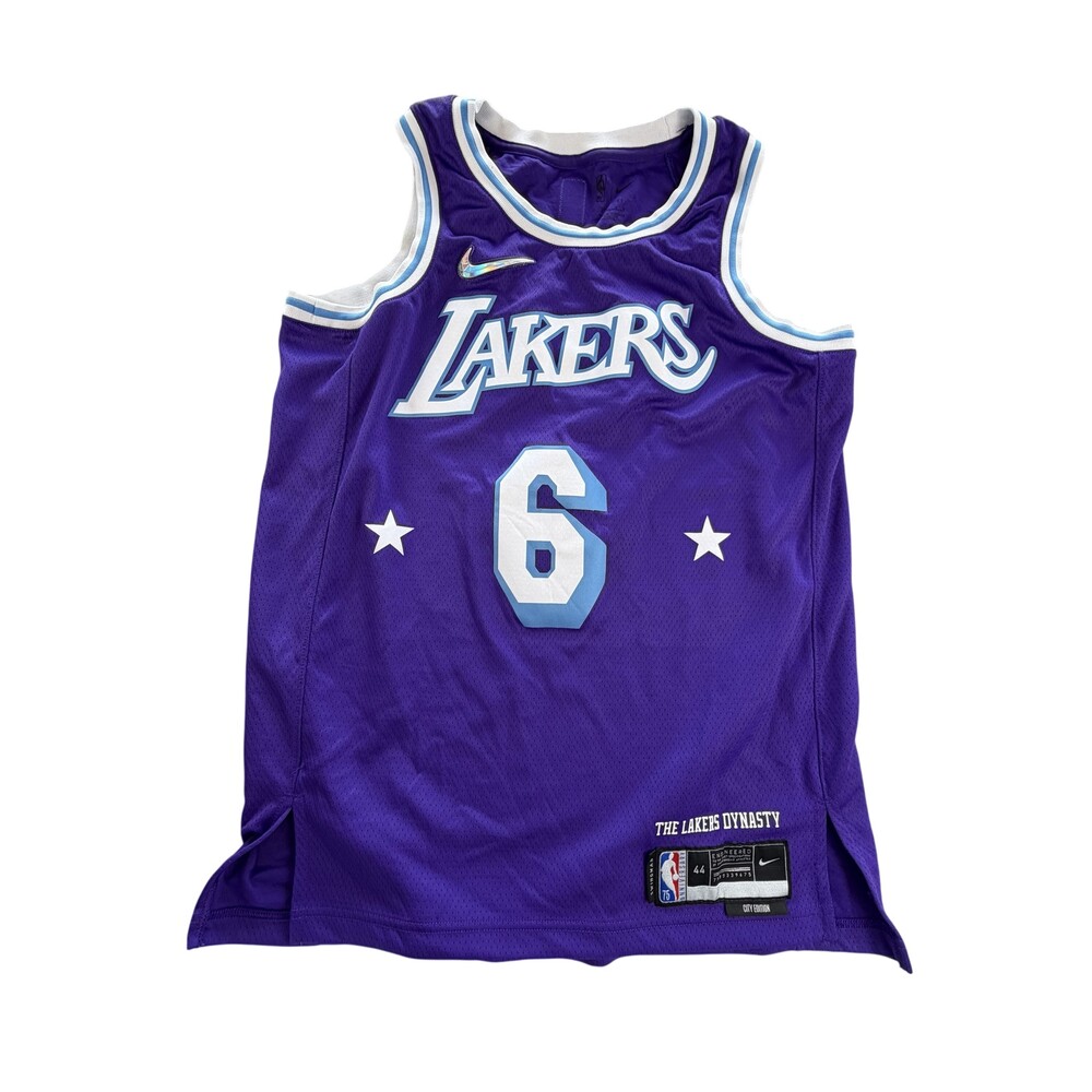 Los Angeles Lakers Basketball Jersey Mens 44 Purple NBA Nike LeBron James 6